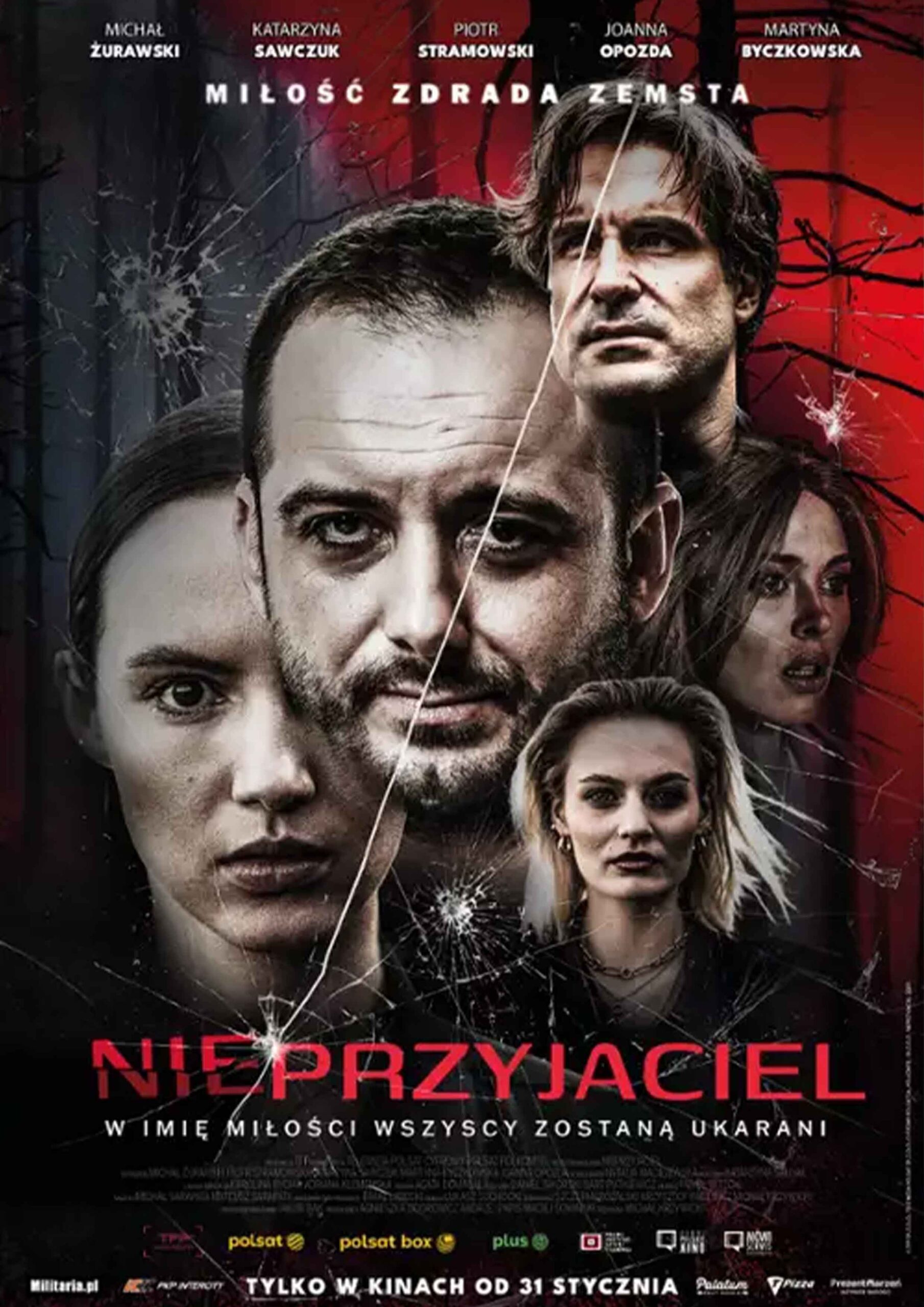 nieprzyjaciele